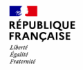 La Direction Interministérielle du Numérique DINUM DINUM