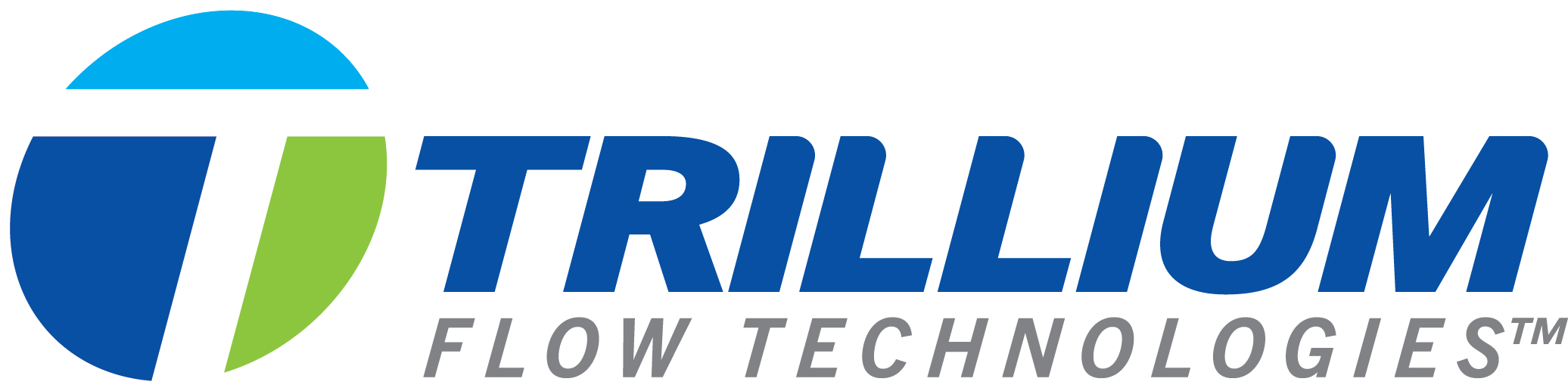 logo std